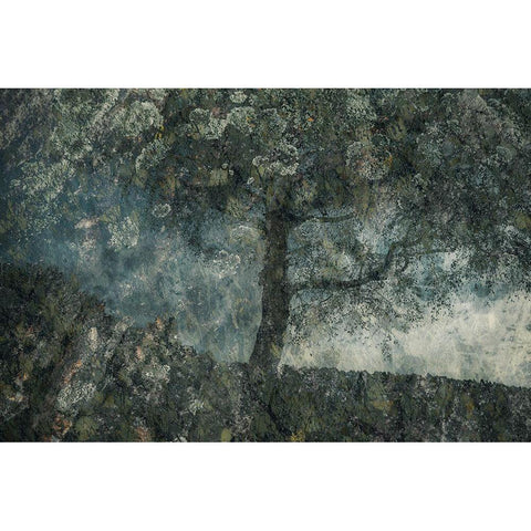 Rocks And A Tree White Modern Wood Framed Art Print by Talen, Nel