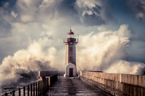 Elements #3 Black Ornate Wood Framed Art Print with Double Matting by Faria, Marco