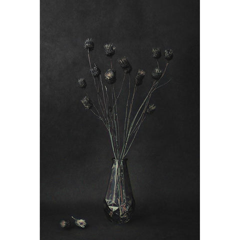 Dark Black Modern Wood Framed Art Print with Double Matting by Kiral, Cicek