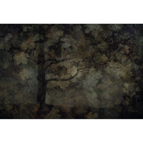 Dark Forest Gold Ornate Wood Framed Art Print with Double Matting by Talen, Nel