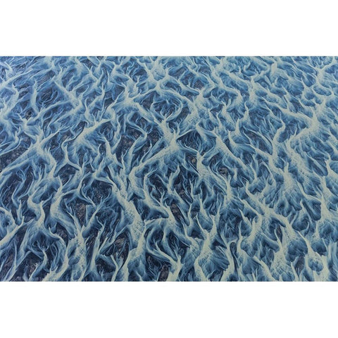 1 Veins Of The Earth Gold Ornate Wood Framed Art Print with Double Matting by Svoboda MQEP, Peter