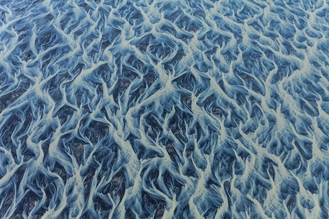 1 Veins Of The Earth Black Ornate Wood Framed Art Print with Double Matting by Svoboda MQEP, Peter