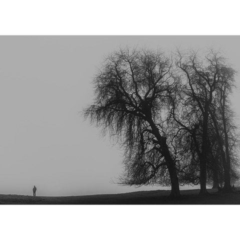 A Monster Calls Black Modern Wood Framed Art Print with Double Matting by Amare, Bego