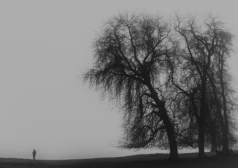 A Monster Calls White Modern Wood Framed Art Print with Double Matting by Amare, Bego