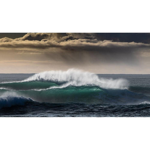 Double Strength White Modern Wood Framed Art Print by Pelissier, Marc