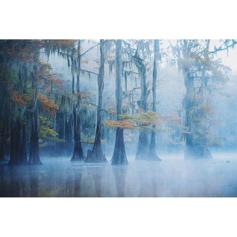 Foggy Swamp Morning Black Modern Wood Framed Art Print with Double Matting by H., Aijing