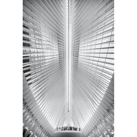 Oculus Black Modern Wood Framed Art Print by Tagliarino, Marco