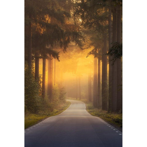 Pursuing The Light At The End Of The Road Black Modern Wood Framed Art Print with Double Matting by Ye, NingYun