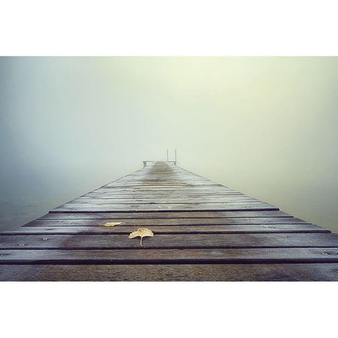 Cold And Misty Morning Black Modern Wood Framed Art Print by Eisenmann, Ulrike