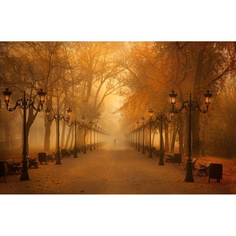 November Morning Gold Ornate Wood Framed Art Print with Double Matting by Andreescu, Cristian