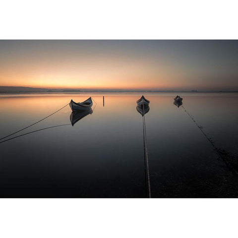 *** Black Modern Wood Framed Art Print by Faria, Marco