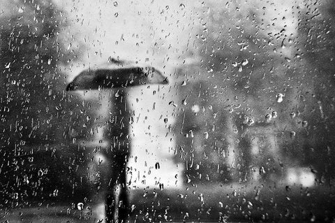 November Passengers Black Ornate Wood Framed Art Print with Double Matting by Gabor, Nicoleta