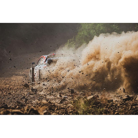 Eat My Dust Gold Ornate Wood Framed Art Print with Double Matting by Szabo, Attila