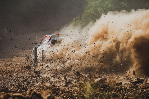 Eat My Dust Black Ornate Wood Framed Art Print with Double Matting by Szabo, Attila