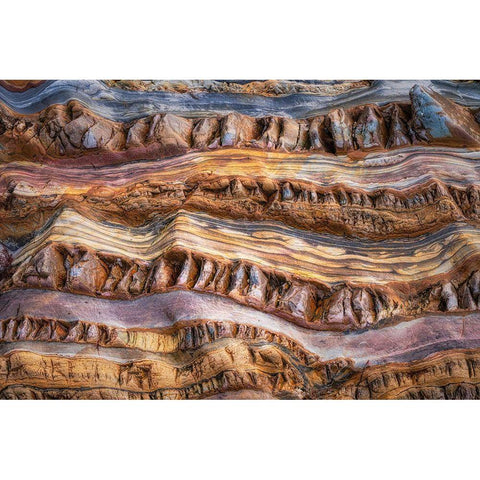 Abstractions In Nature Gold Ornate Wood Framed Art Print with Double Matting by Dingemans, Saskia
