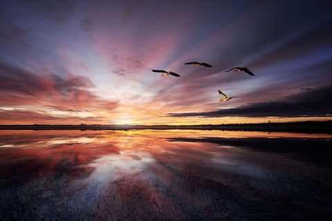 Morning Mood.. White Modern Wood Framed Art Print with Double Matting by Londal, Leif