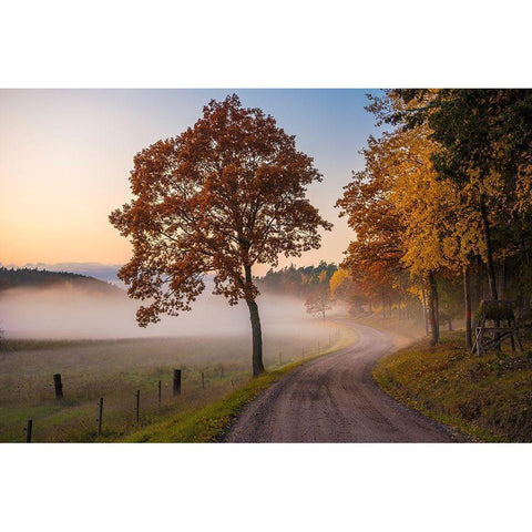 Countryside Vibes Black Modern Wood Framed Art Print with Double Matting by Lindsten, Christian