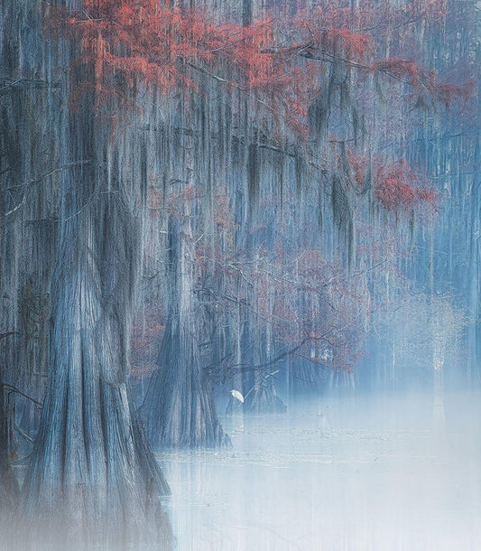 Image Only