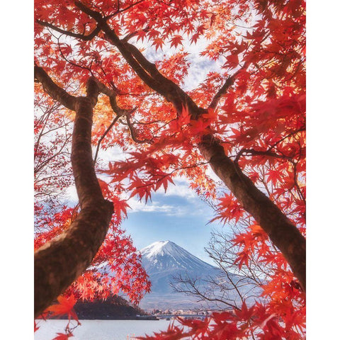 Mt.Fuji Is In The Autumn Leaves Black Modern Wood Framed Art Print with Double Matting by Samejima, Makiko