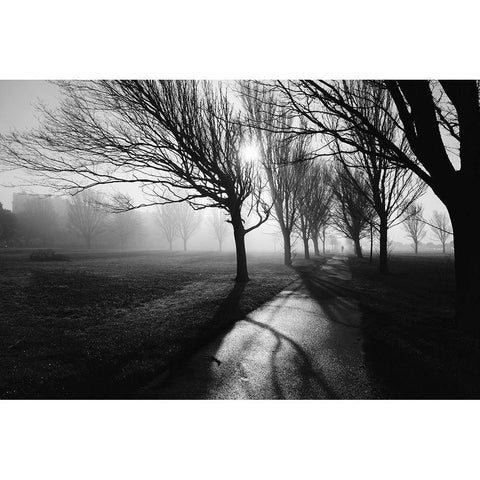 Foggy February Black Modern Wood Framed Art Print with Double Matting by Allen, Elizabeth