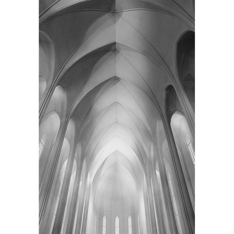 The Hallgrimskirkja In Reykjavik Gold Ornate Wood Framed Art Print with Double Matting by Allen, Elizabeth