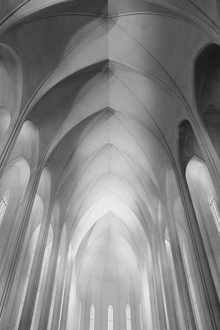 The Hallgrimskirkja In Reykjavik Black Ornate Wood Framed Art Print with Double Matting by Allen, Elizabeth