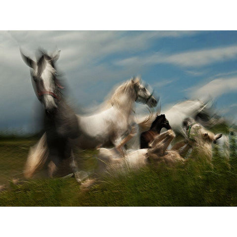 Play ground White Modern Wood Framed Art Print by Malovrh, Milan