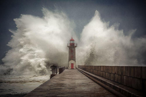 Elements #5 Black Ornate Wood Framed Art Print with Double Matting by Faria, Marco