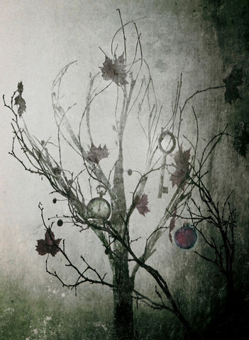 Moody Christmas Black Ornate Wood Framed Art Print with Double Matting by Devos, Delphine