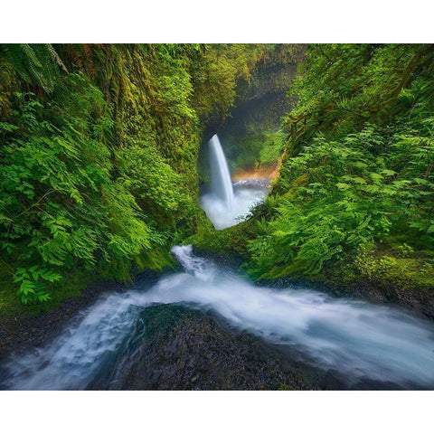 Rainbow In The Mist White Modern Wood Framed Art Print by Moore, Chris