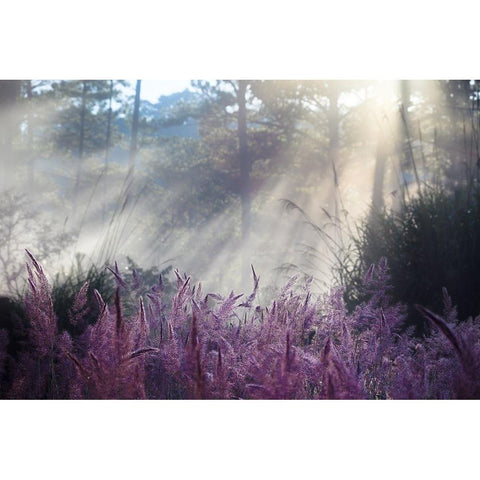 Spring Black Modern Wood Framed Art Print with Double Matting by Thanh Tung, Nguyen