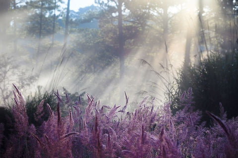 Spring White Modern Wood Framed Art Print with Double Matting by Thanh Tung, Nguyen