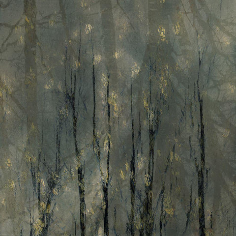 Bald Trees Black Modern Wood Framed Art Print by Talen, Nel