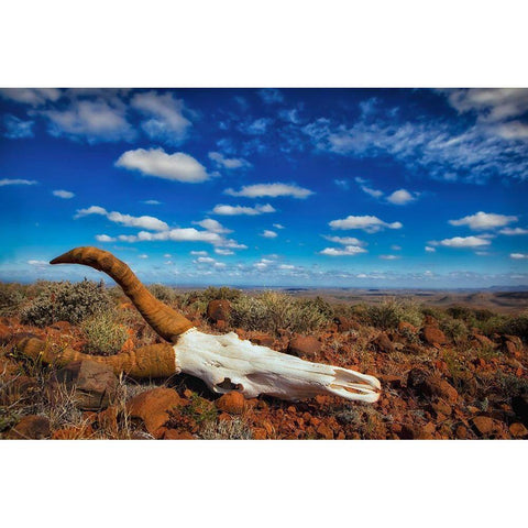 Harsh Land Black Modern Wood Framed Art Print by Moreno, Mario