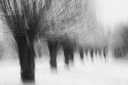 Image Only