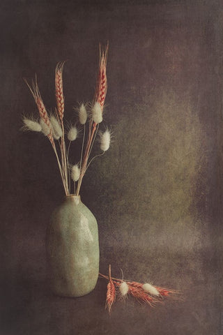 Soft Lines Black Ornate Wood Framed Art Print with Double Matting by Kiral, Cicek