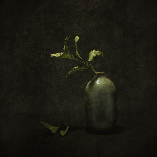Image Only