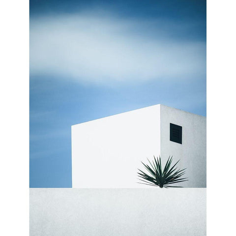 Palm Tree Black Modern Wood Framed Art Print with Double Matting by Wasinger, Renate