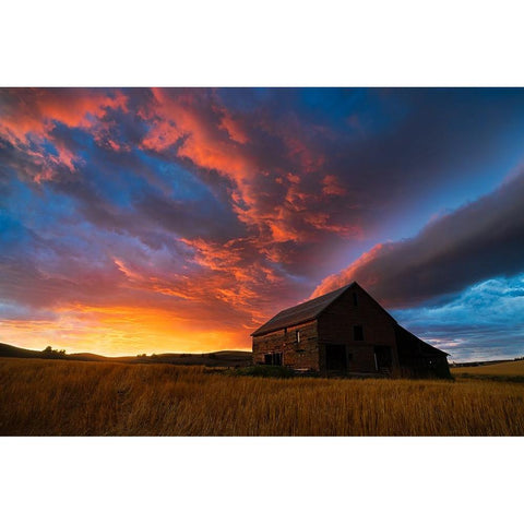 Witness Of Sunset White Modern Wood Framed Art Print by Fan, John