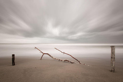 In The Wind White Modern Wood Framed Art Print with Double Matting by Della Latta, Massimo