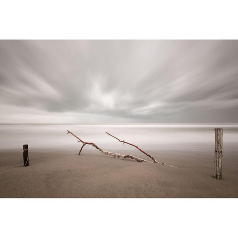 In The Wind Black Modern Wood Framed Art Print by Della Latta, Massimo