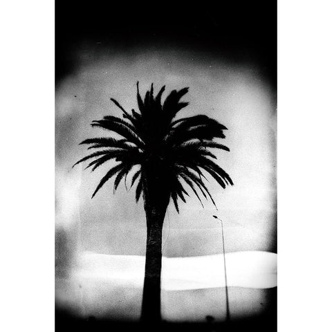 The Silence White Modern Wood Framed Art Print by Correia, Rui