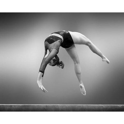 Arch Gold Ornate Wood Framed Art Print with Double Matting by Li, Rob