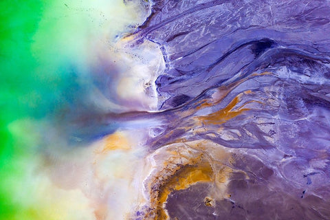 Beautiful Poison Black Ornate Wood Framed Art Print with Double Matting by Erika, Eros