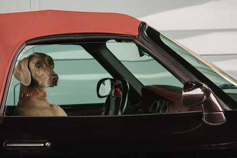 Lady White Modern Wood Framed Art Print with Double Matting by Hermann, Uschi