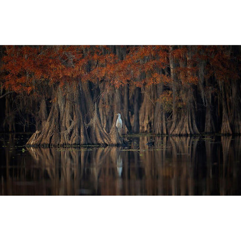 Tranquil Lake Black Modern Wood Framed Art Print with Double Matting by Zheng, Michael