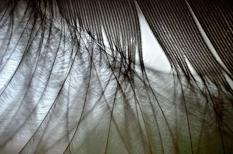 When Dreams Meet Reality White Modern Wood Framed Art Print with Double Matting by Melnotte, Mike