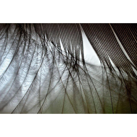 When Dreams Meet Reality Black Modern Wood Framed Art Print by Melnotte, Mike