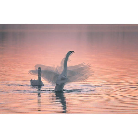 Dancing For You Black Modern Wood Framed Art Print by Ning, Aidong