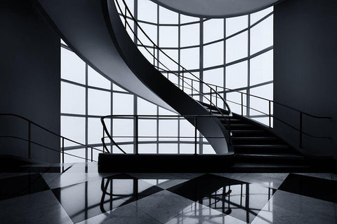 The Graceful Ascent Black Ornate Wood Framed Art Print with Double Matting by Van De, Jeroen